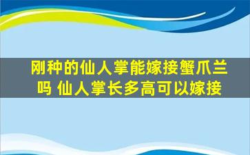 刚种的仙人掌能嫁接蟹爪兰吗 仙人掌长多高可以嫁接